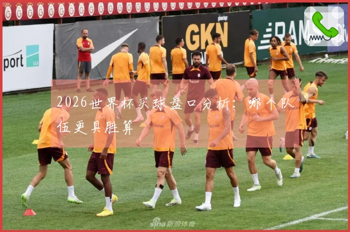 2026世界杯买球盘口分析：哪个队伍更具胜算