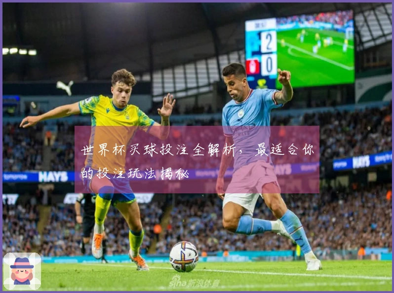 世界杯买球投注全解析，最适合你的投注玩法揭秘