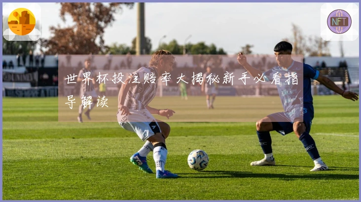 世界杯投注赔率大揭秘新手必看指导解读