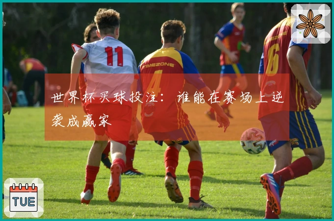 世界杯买球投注：谁能在赛场上逆袭成赢家