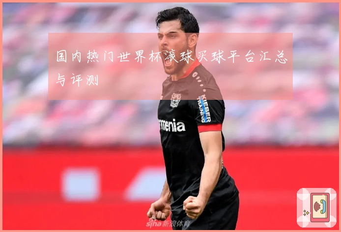 国内热门世界杯滚球买球平台汇总与评测